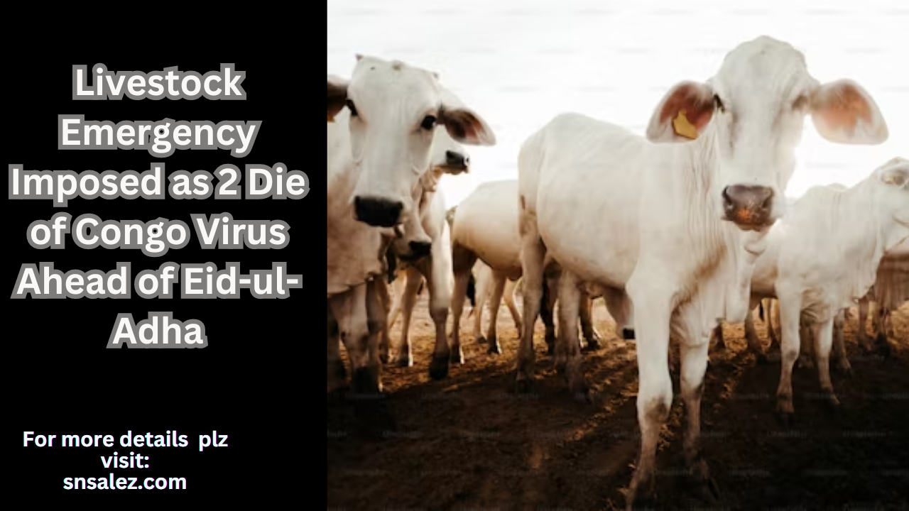 You are currently viewing Congo Virus Ahead of Eid-ul-Adha