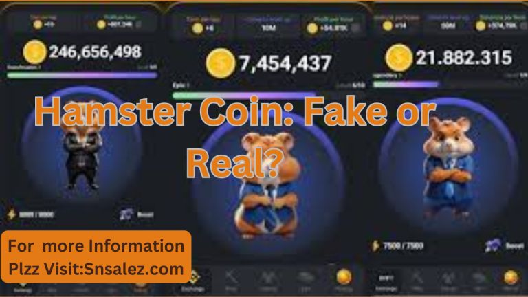 Hamster Coin: Fake or Real?