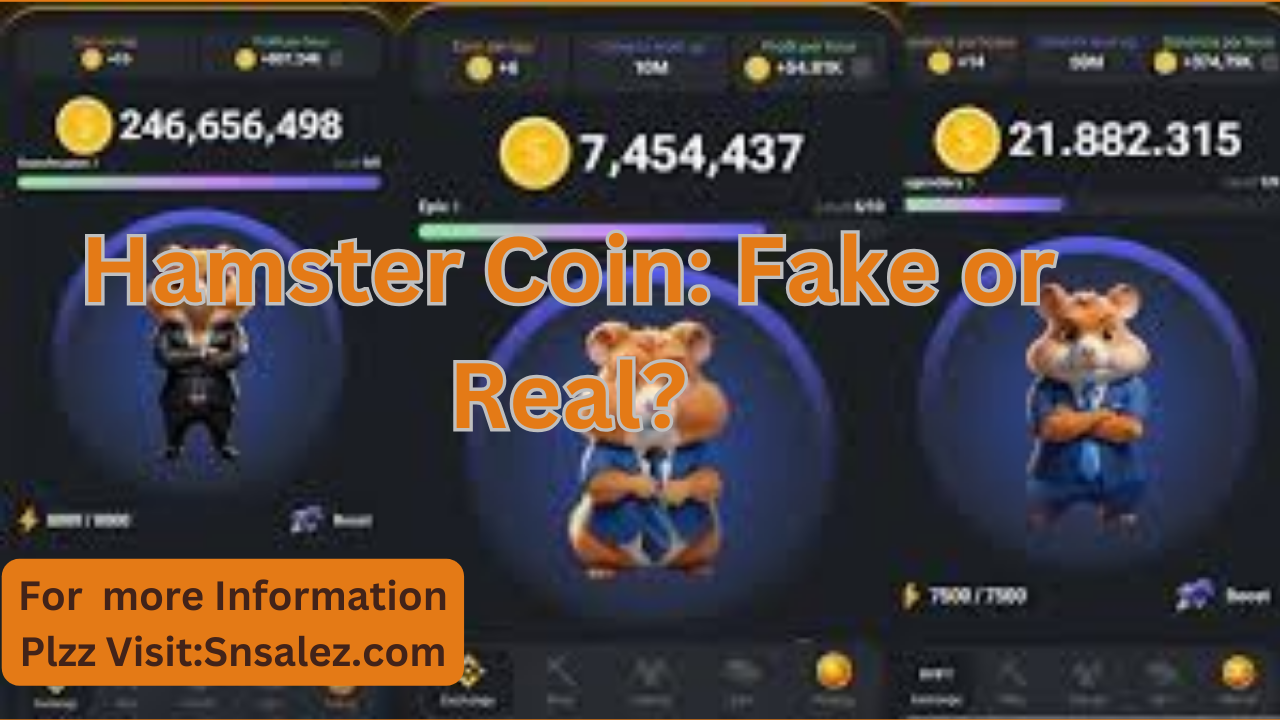 Read more about the article Hamster Coin App Fake and Real?