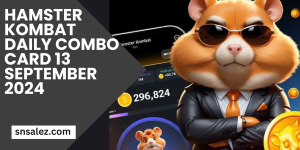 Read more about the article Hamster Kombat Daily Combo Card 13 September 2024