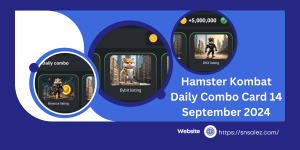 Read more about the article Hamster Kombat Daily Combo Card 14 September 2024